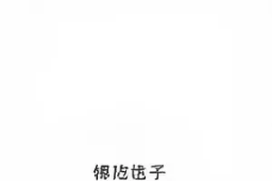 作品《雨天便利店的对峙》封面，雨夜便利店货架之间的两道身影
